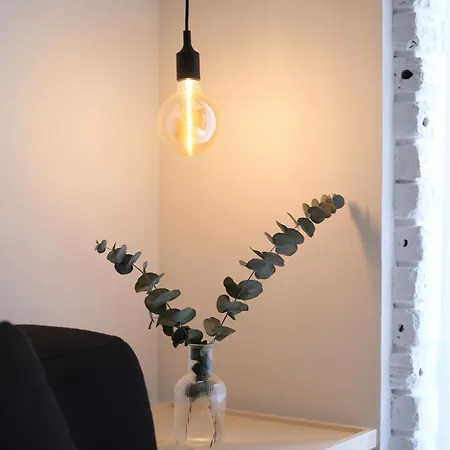 Vt Elegante Y Acogedora Con Wifi En דירה בילבאו