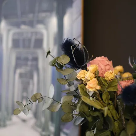 Vt Elegante Y Acogedora Con Wifi En Lejlighed