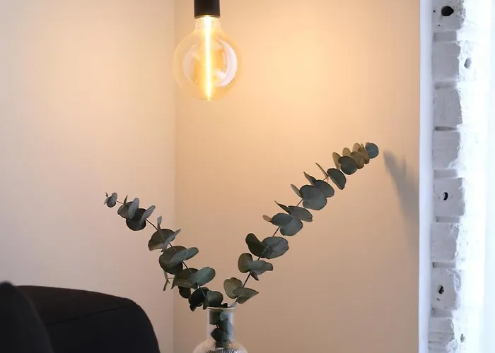 Vt Elegante Y Acogedora Con Wifi En Apartmán Bilbao